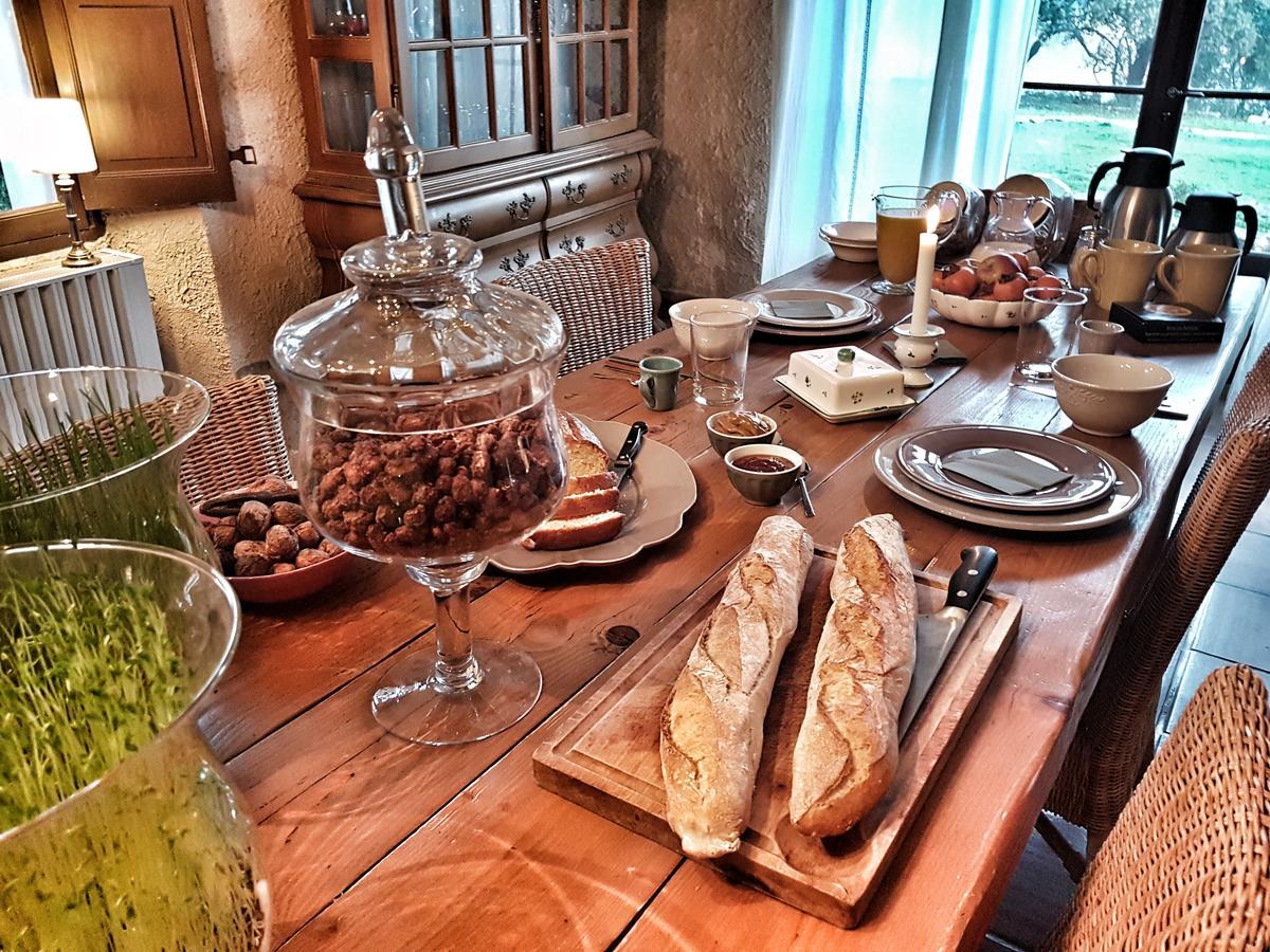 Bed and Breakfast Le Domaine Saint Martin Flassans-sur-Issole Экстерьер фото